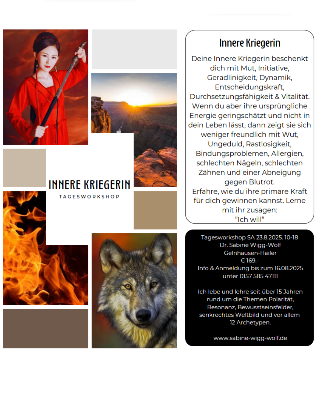 flyer kriegerin